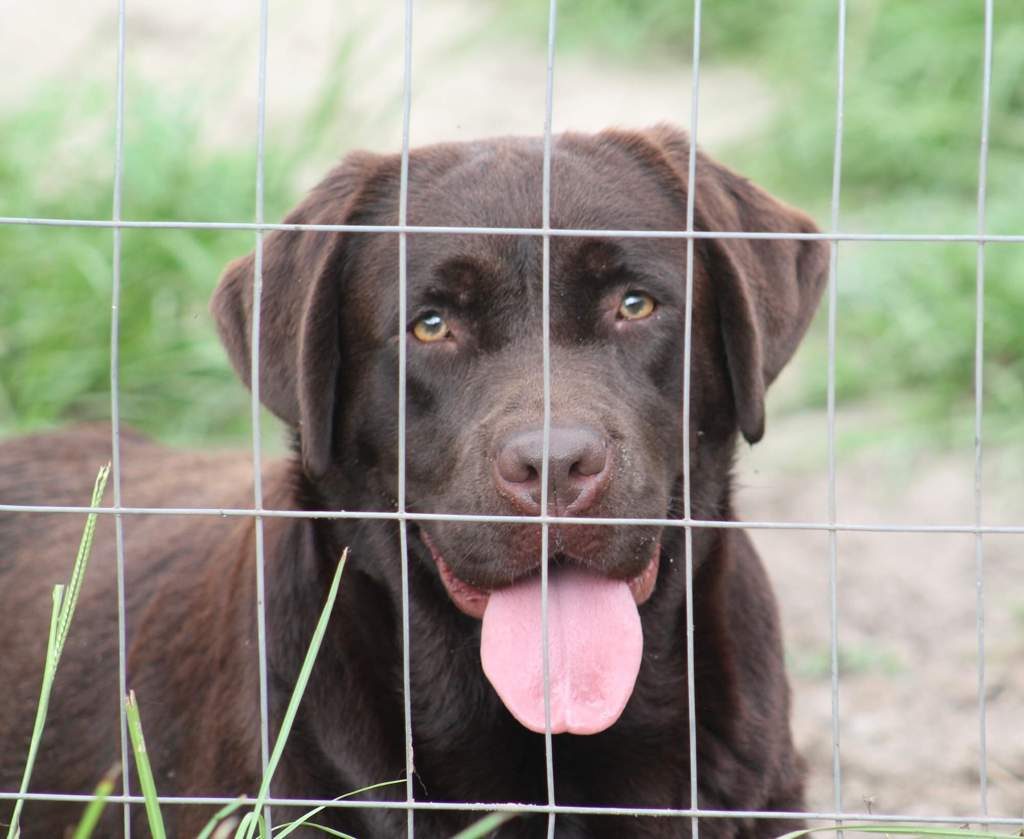 Quail Meadow’s Ladybug Love At Penny Lane
