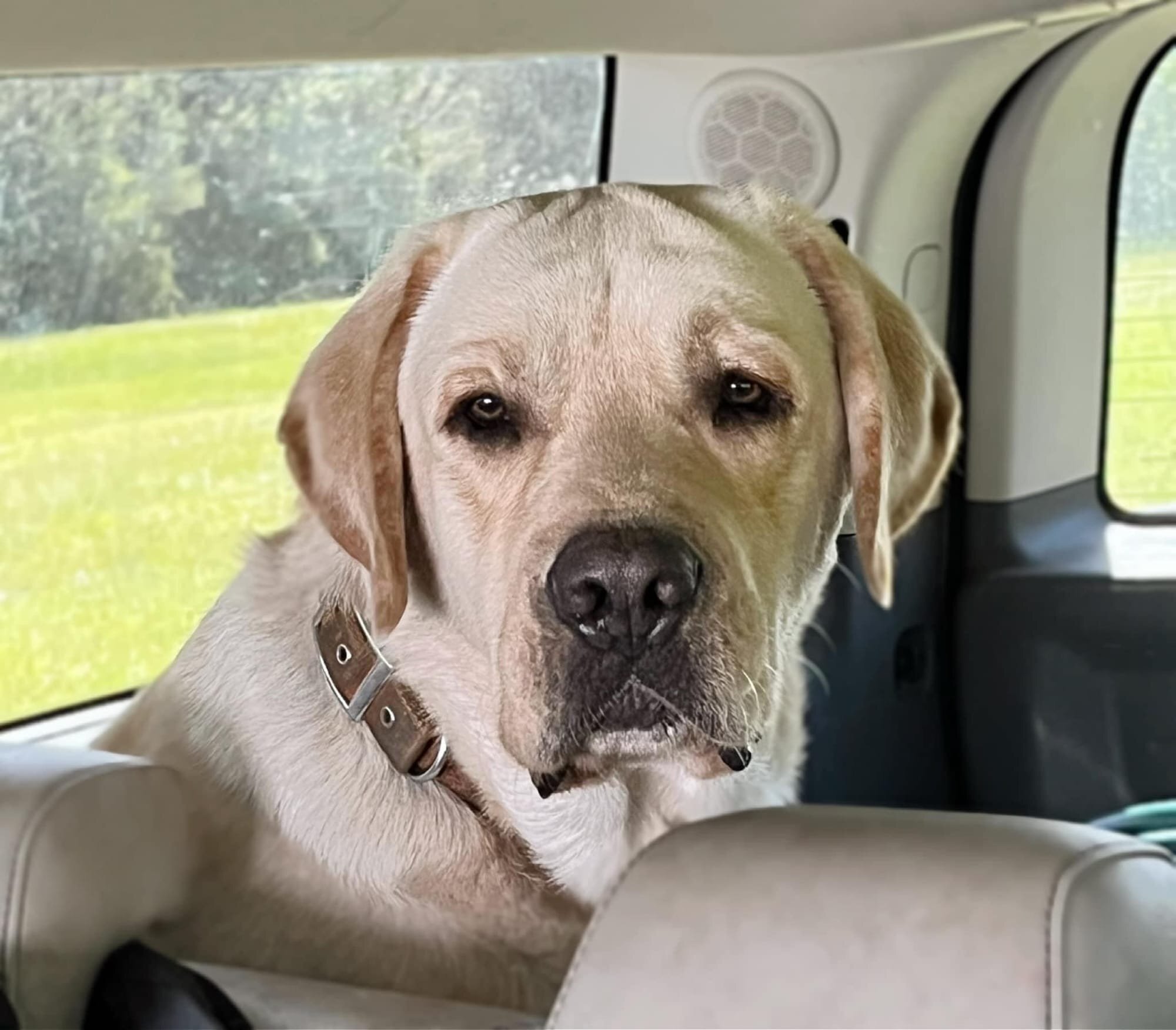 Penny Lane’s Frederick The Peaceful Ruler