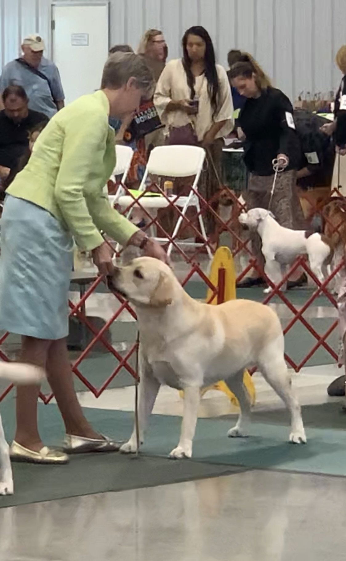 Penny Lane’s Frederick The Peaceful Ruler