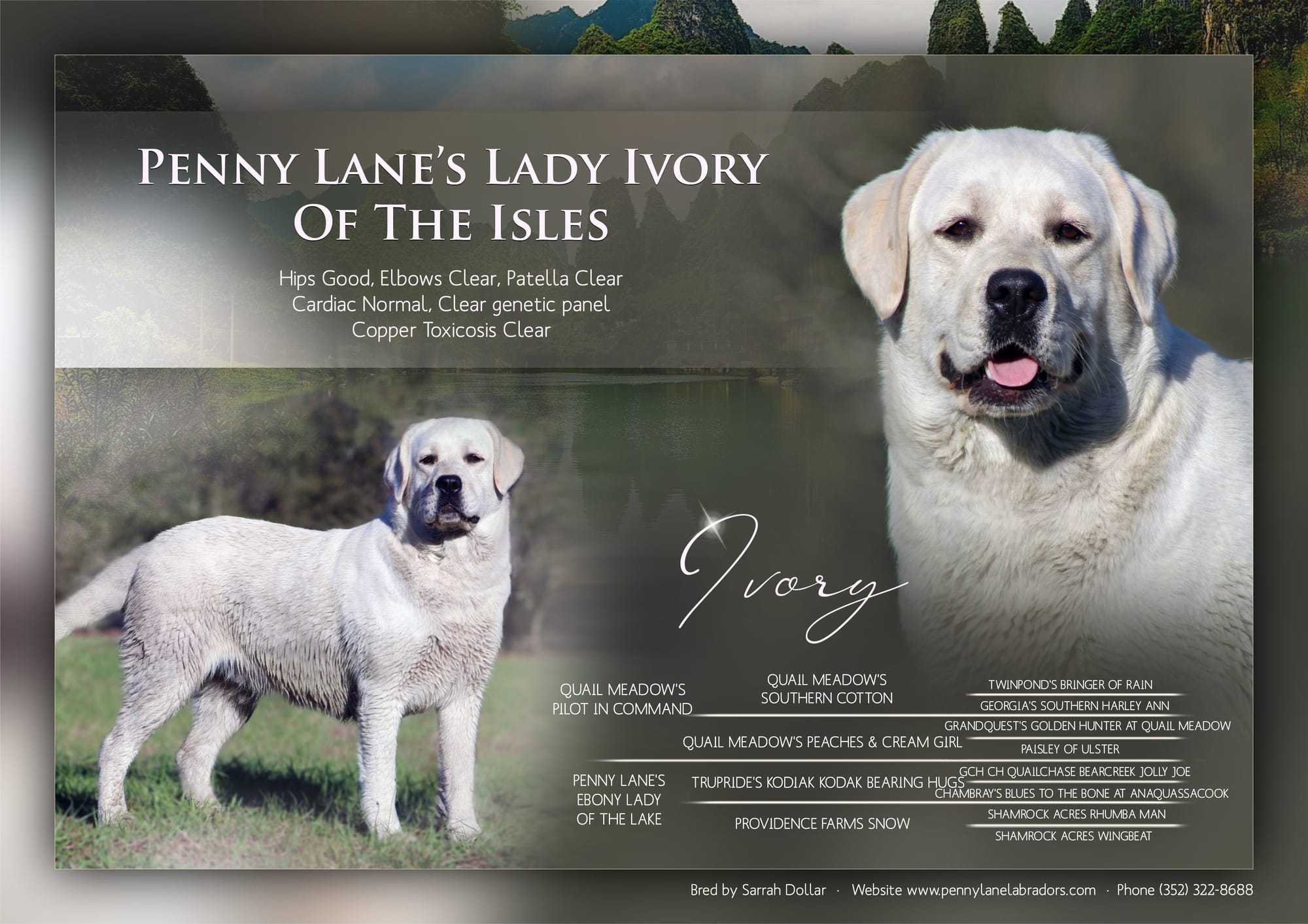 Penny Lane’s Ivory Of The Isles