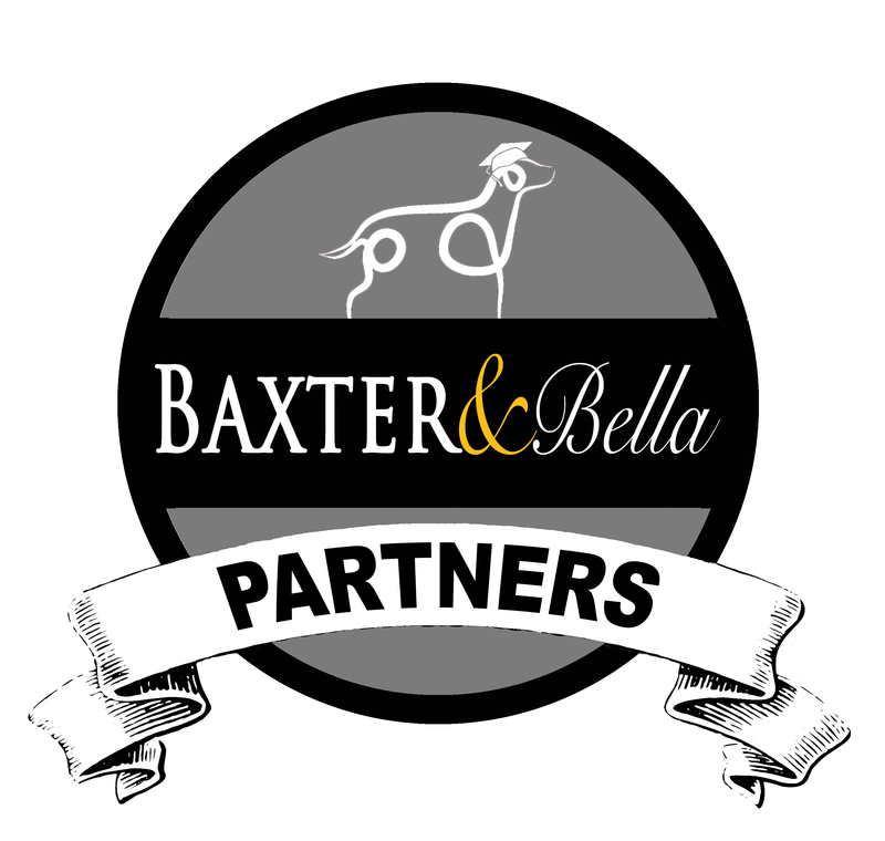 Puppy Training Courses With Baxter And Bella