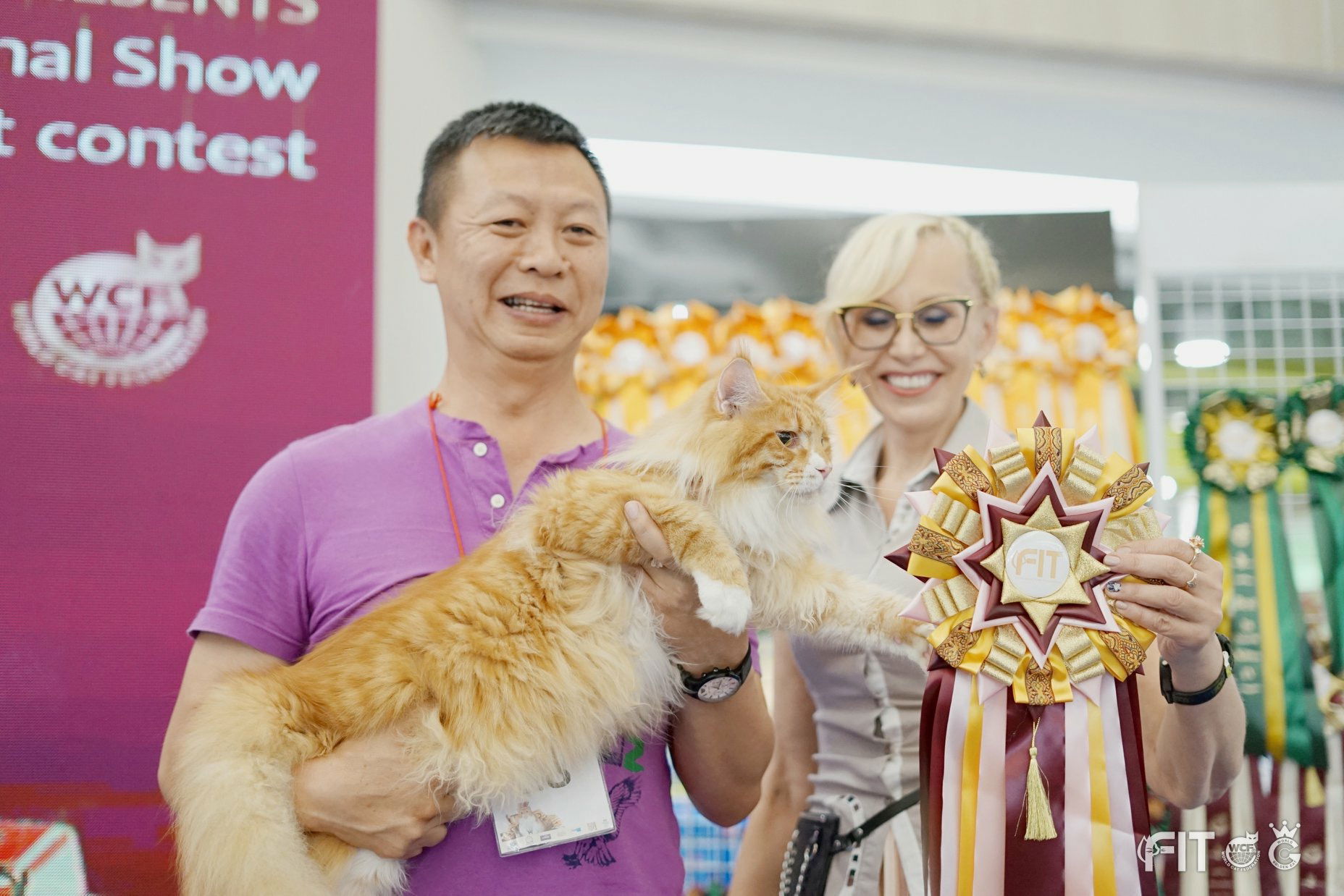 Tigercooncat Maine coon / MAINE COON CATTERY IN THAILAND.