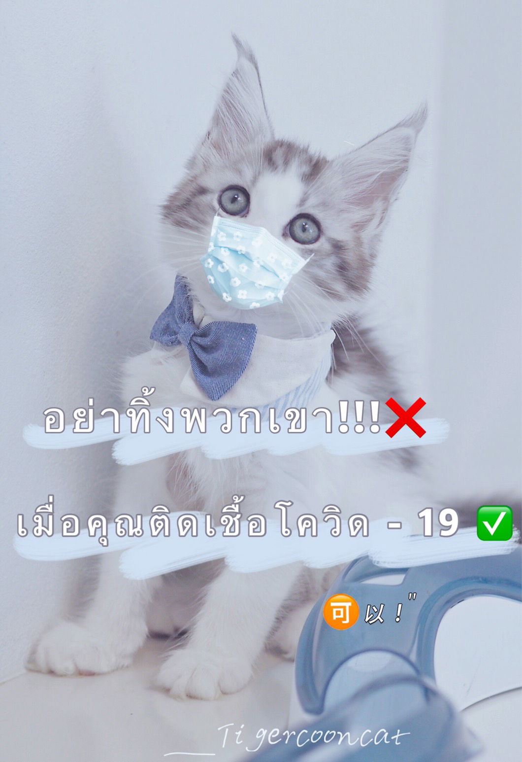 อย่าทิ้งพวกเรา  ข้อปฏิบัติต่อสัตว์เลี้ยงเมื่อคุณติดเชื้อโควิด