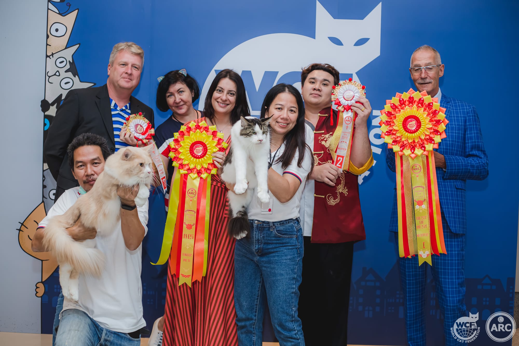 Tigercooncat Maine coon / MAINE COON CATTERY IN THAILAND. ฟาร์มแมวเมนคูนแท้ สายเลือดแชมป์