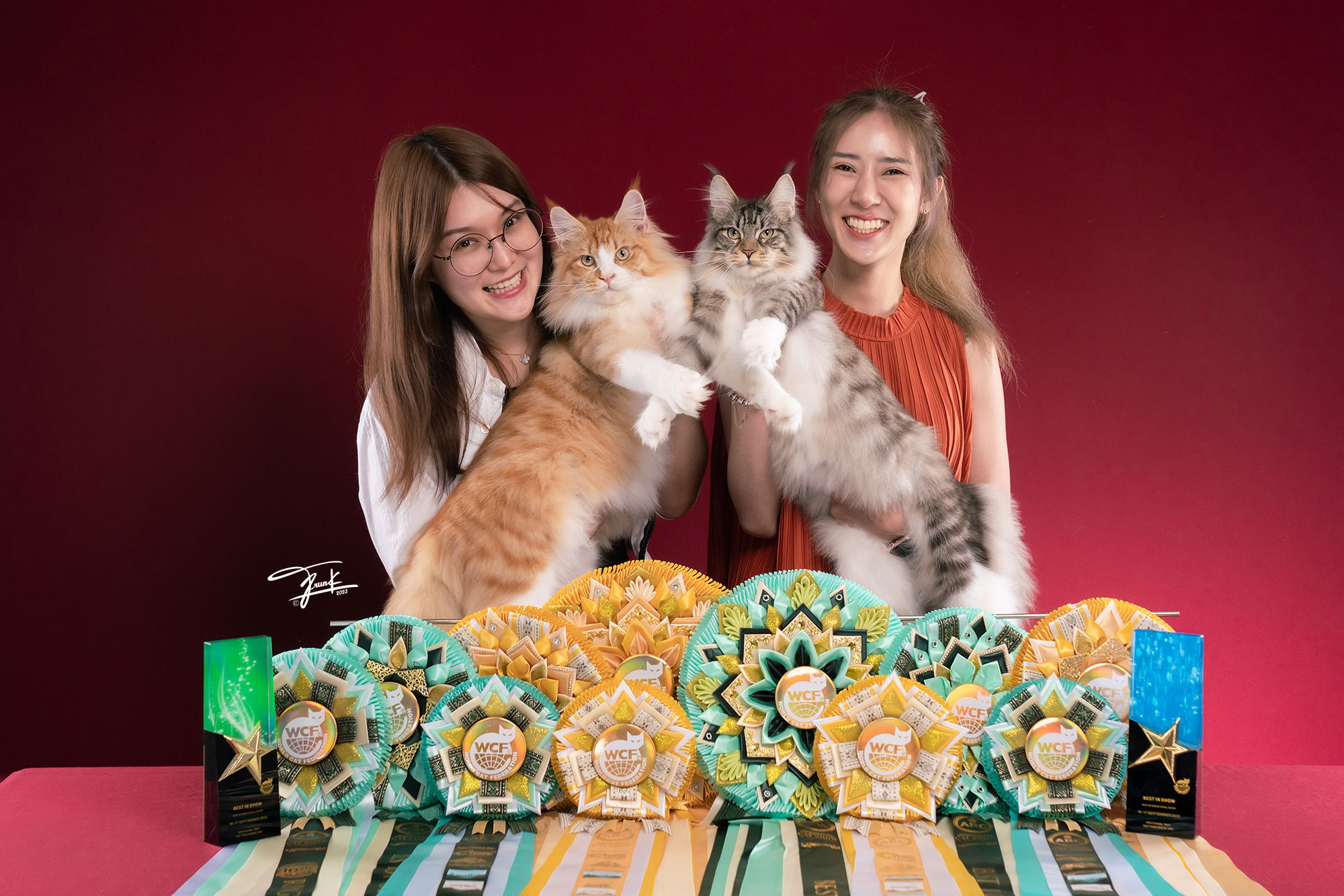 Tigercooncat Maine coon / MAINE COON CATTERY IN THAILAND. ฟาร์มแมวเมนคูนแท้ สายเลือดแชมป์