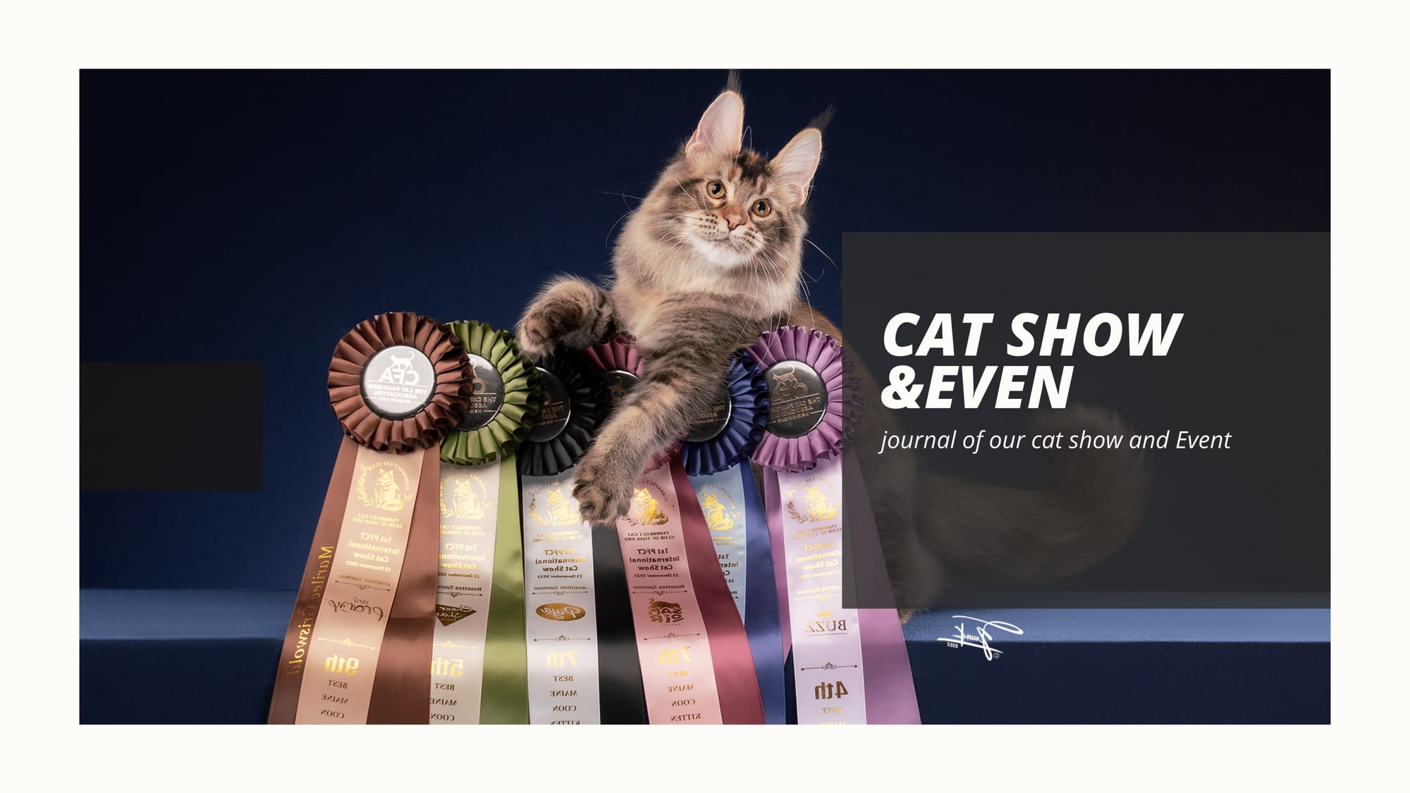 Cat Show & Event