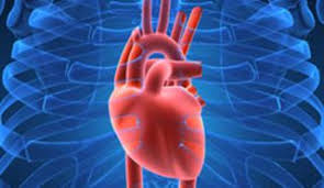 Importance of this System image