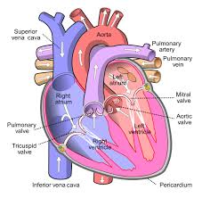 Functions  image