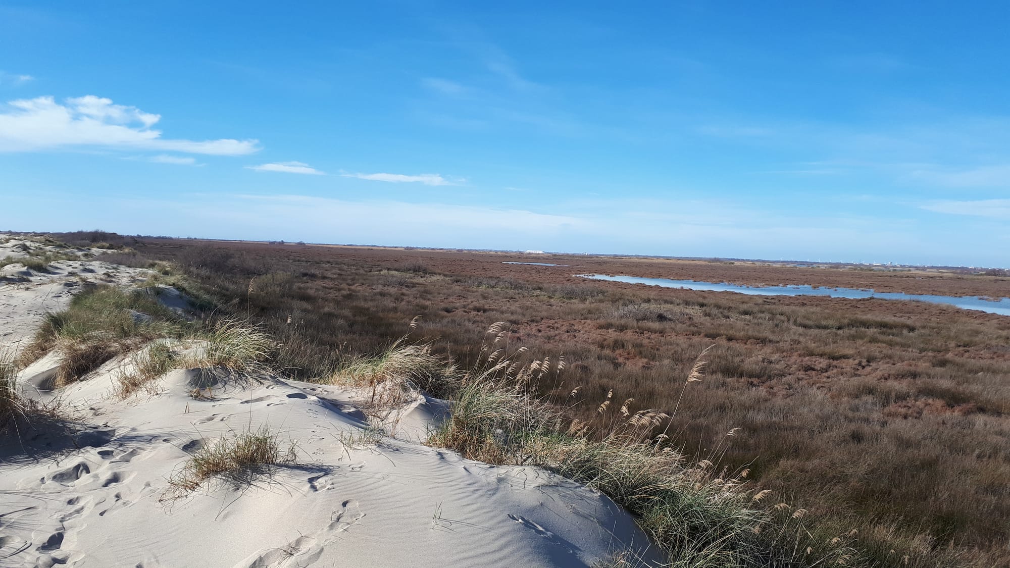 Vue Camargue