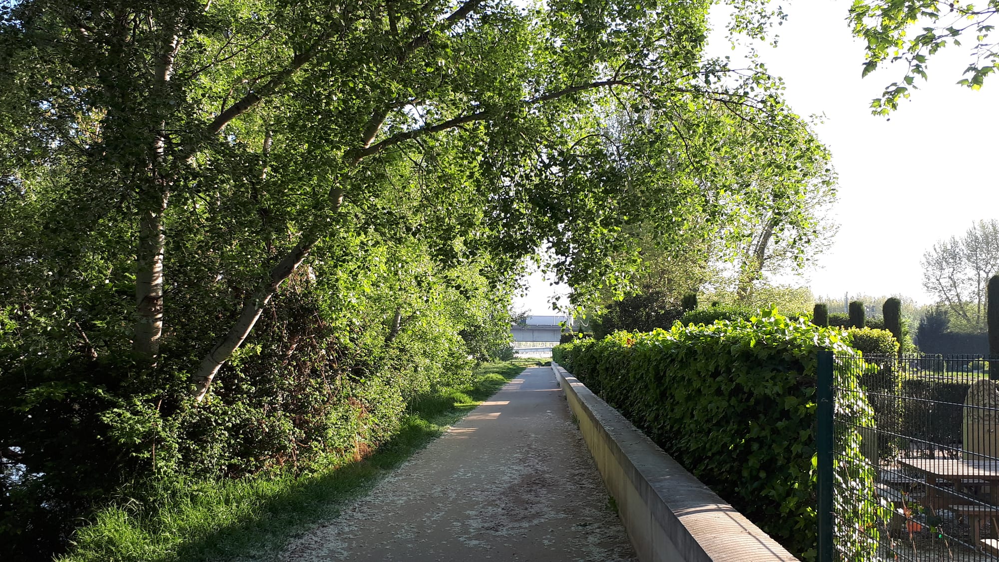 Le long du Rhône le long du jardin Hortus