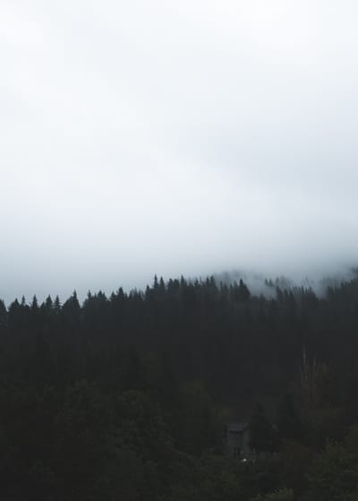 Law Office of B.D. Williams, Esq