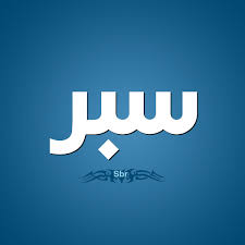 ملخص السبر