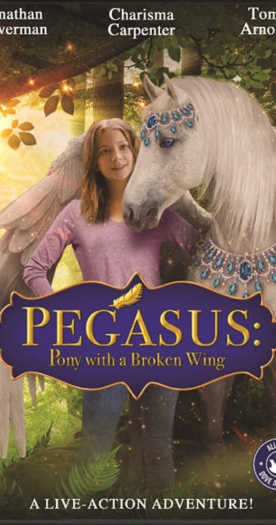 PEGASUS: PONY WITH BROKEN WING 2019 HD image