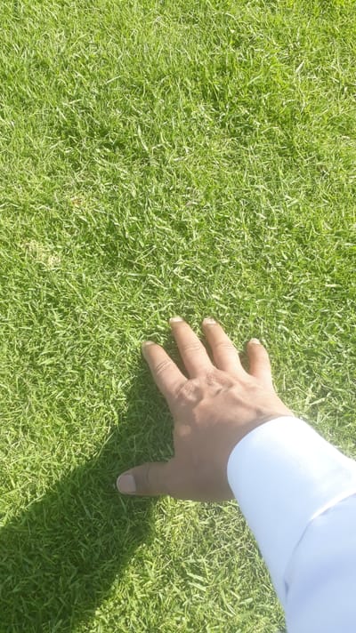 من أعمالنا image