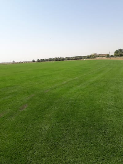 من أعمالنا image