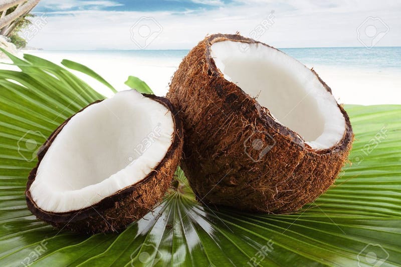 COCONUT EXTRACT
