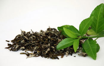 GREEN TEA LEAF EXTRACT