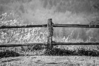 4. Fencing image