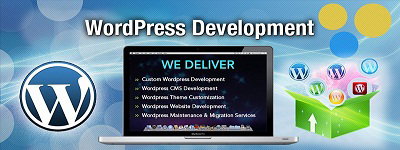 why should you choose WordPress Web Development