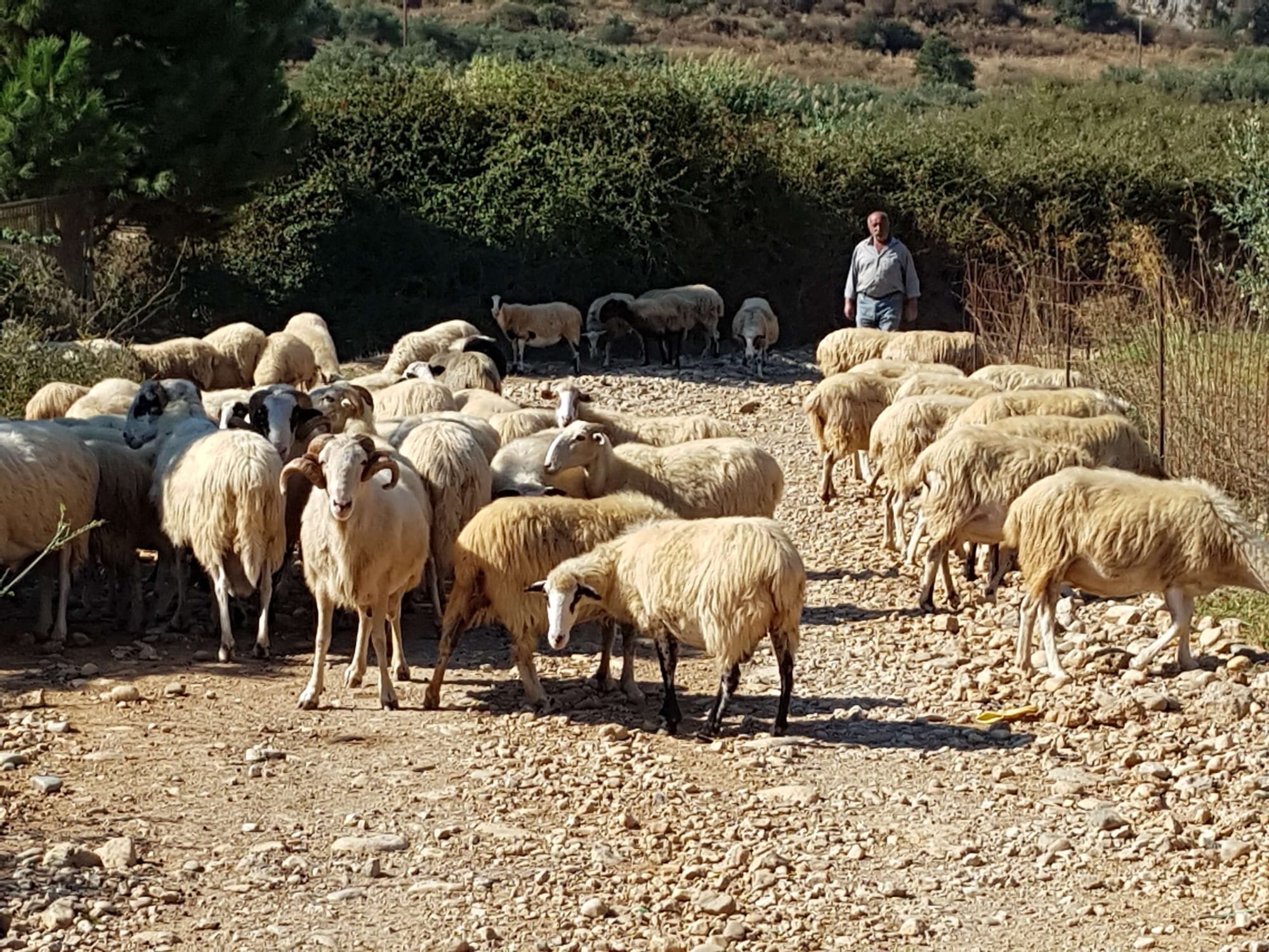 09/29 wandeling van Georgioupolis naar het dorp Mathes