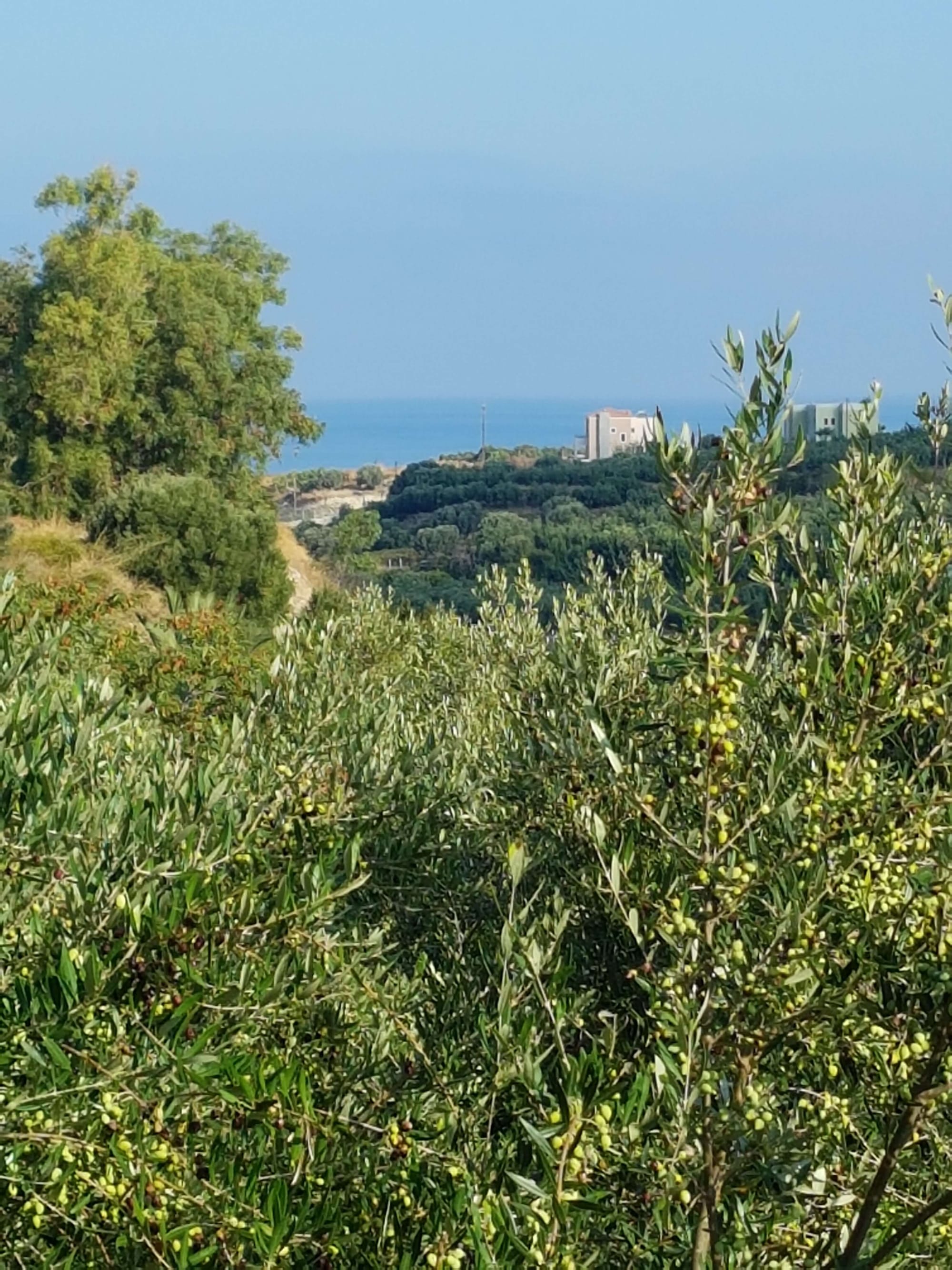 10/02 fietstocht vanuit Rethymno