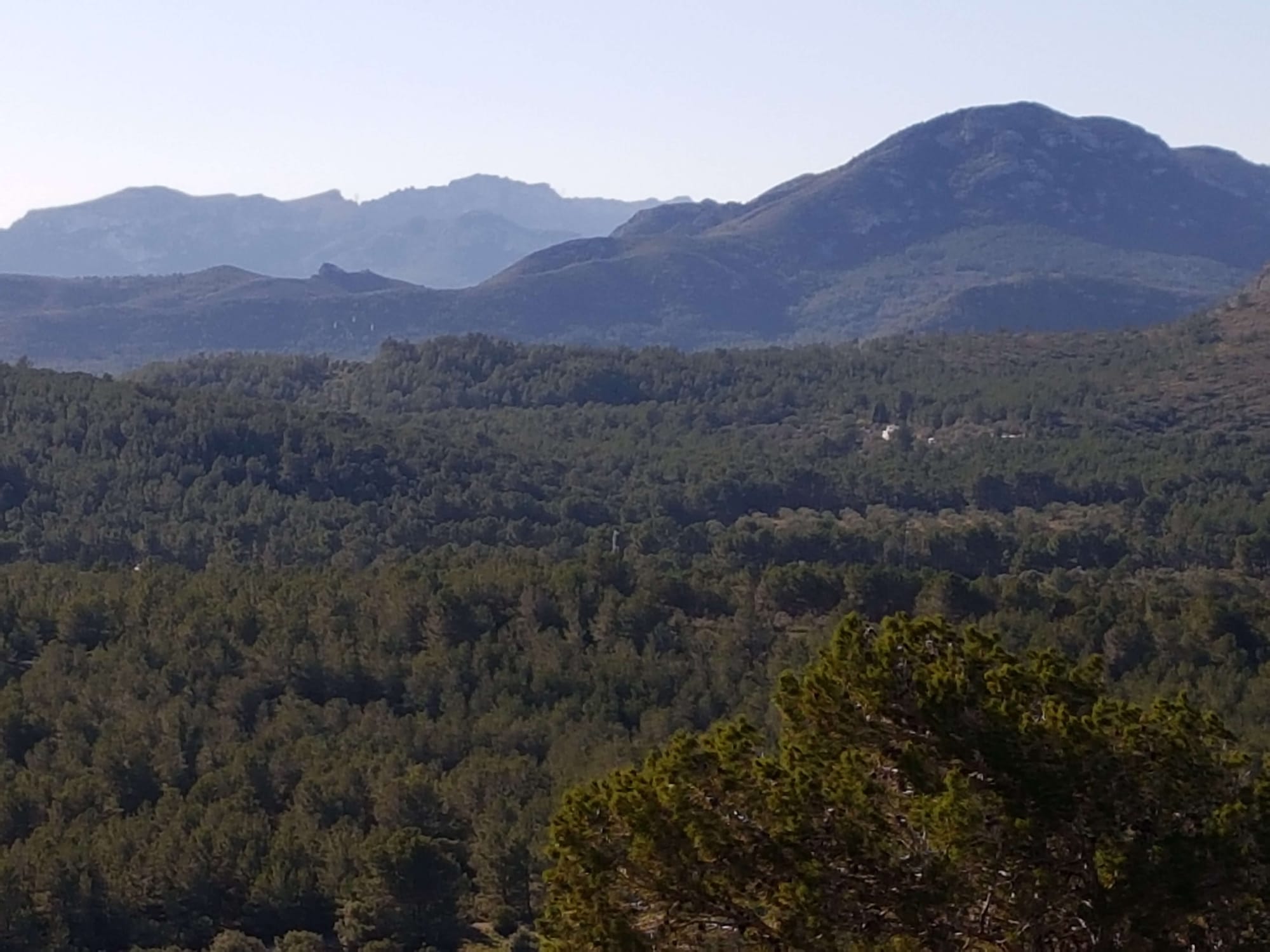 05/01 Mainou (ten zuiden van Cambrils), fietsen en wandelen met Lana