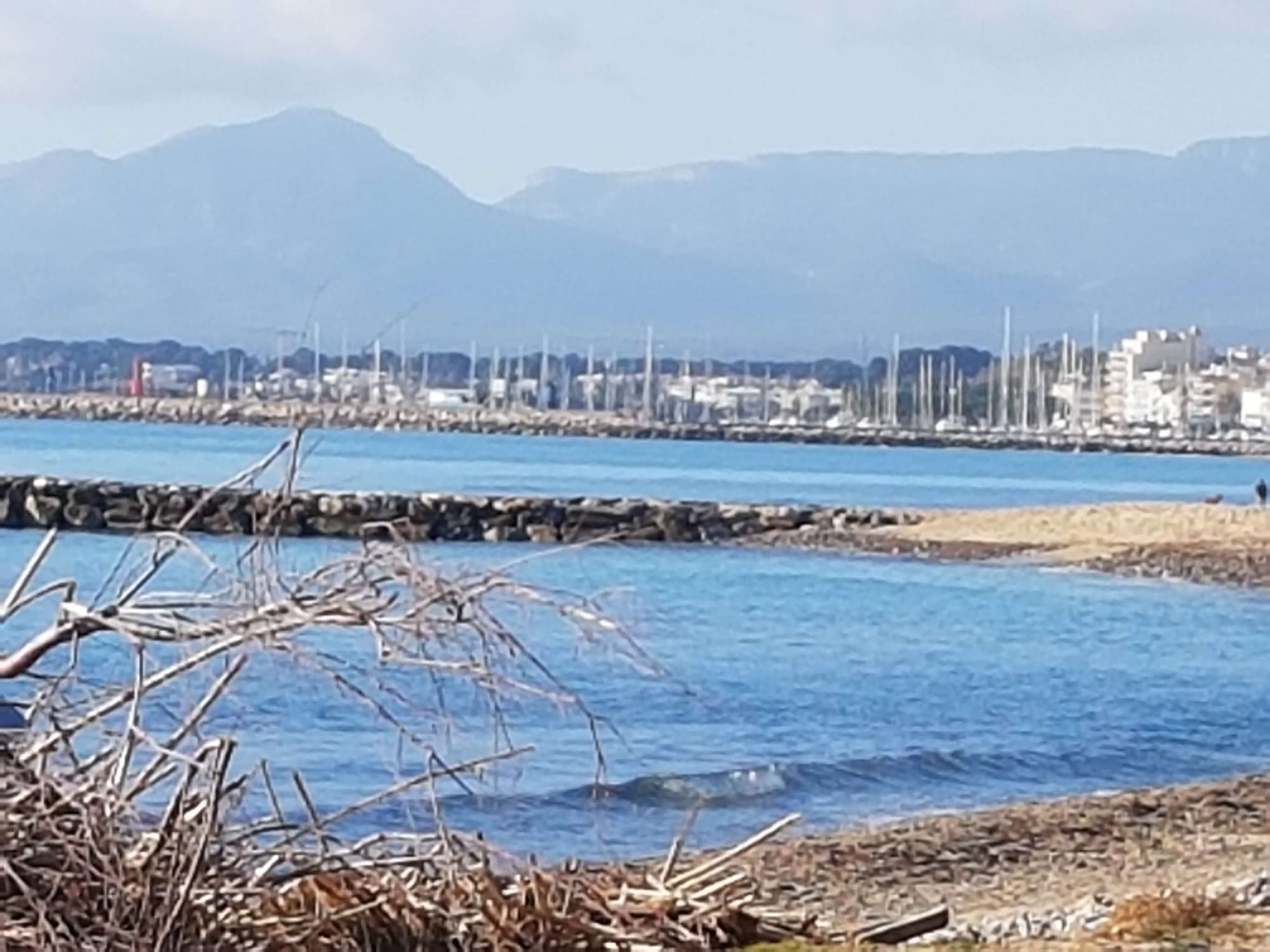 06/01 Mainou (ten zuiden van Cambrils), met fiets en hond naar Cambrils