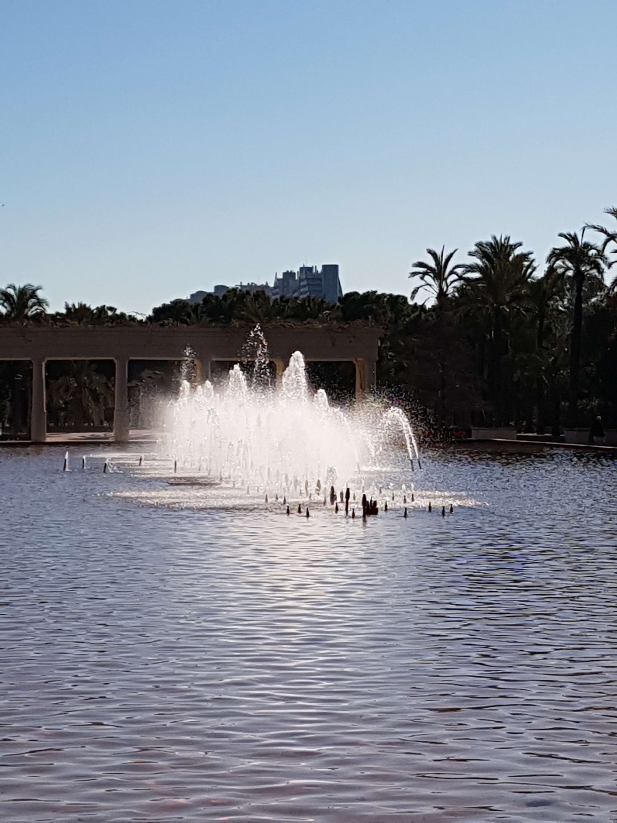 14/01 Valencia (Devesa Gardens), fietstocht naar Valencia