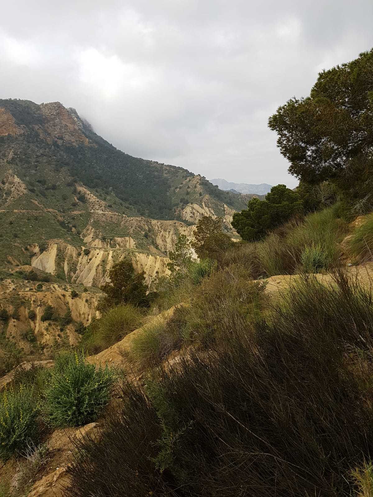 21/02 Los Ramos, fietstocht rondom de Colombares