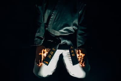 sparring partners 4 image