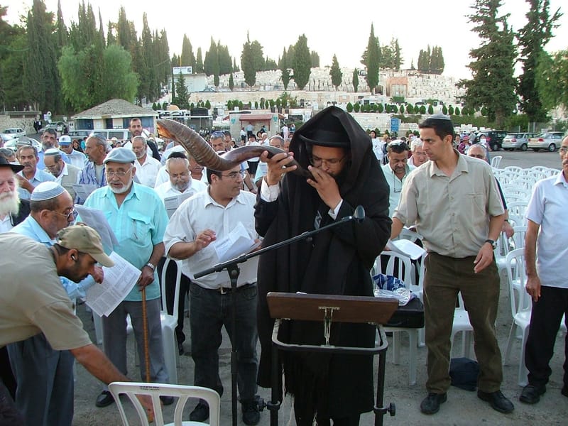 מכון תרועת מלך