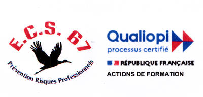 A PROPOS D'ECS 67 image