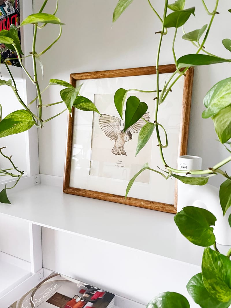 סטיילינג לצילומים למעצבת רינת אברהם | הרצליה