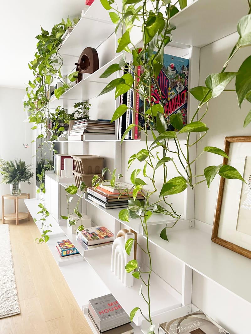 סטיילינג לצילומים למעצבת רינת אברהם | הרצליה