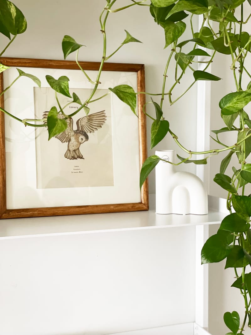 סטיילינג לצילומים למעצבת רינת אברהם | הרצליה