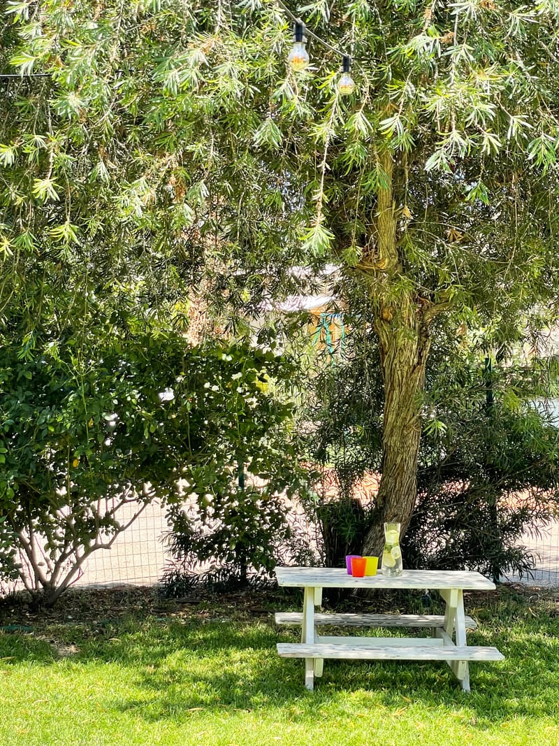 סטיילינג לצילומים למעצבת ענת יהב | עין ורד