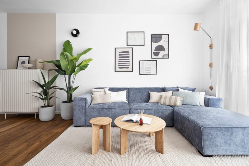 דירת 5 חדרים | נווה זמר רעננה