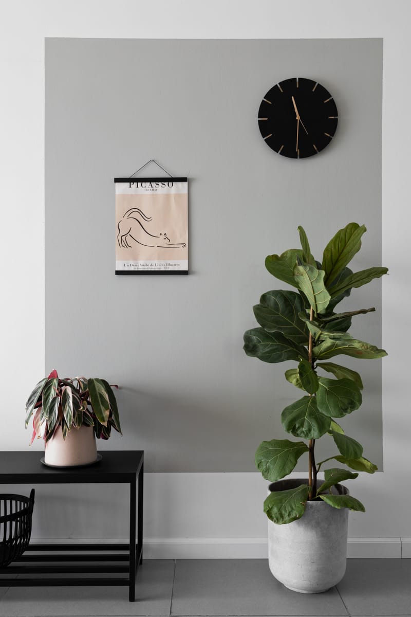 דירת קבלן 5 חדרים | ראש העין