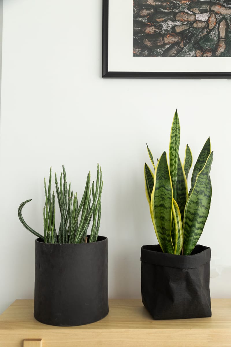 דירת קבלן 5 חדרים | כפר סבא הירוקה