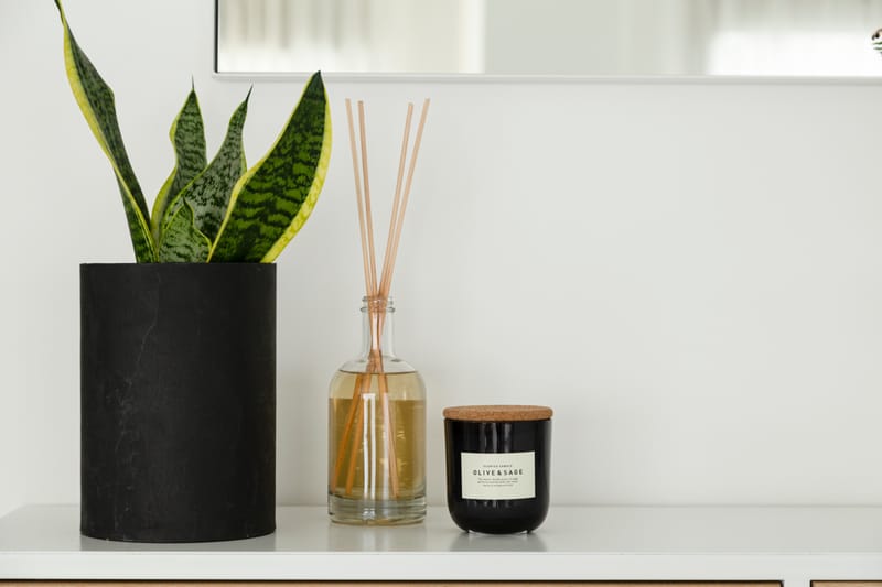 דירת קבלן 5 חדרים | כפר סבא הירוקה