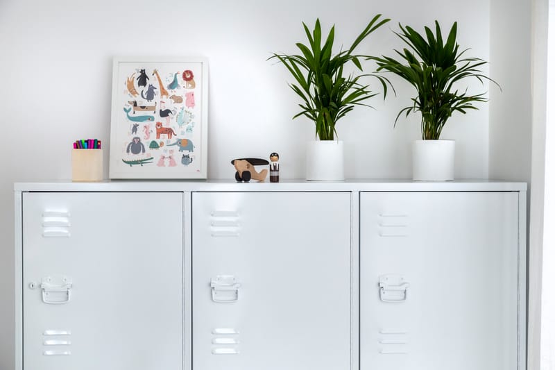 דירת קבלן 5 חדרים | כפר סבא הירוקה