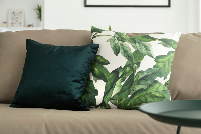 דירת קבלן 5 חדרים | כפר סבא הירוקה