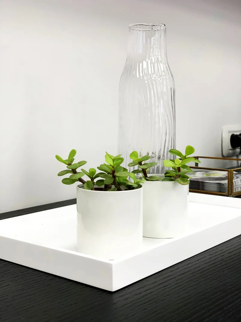 משרד בוטיק לנדל"ן | שוהם