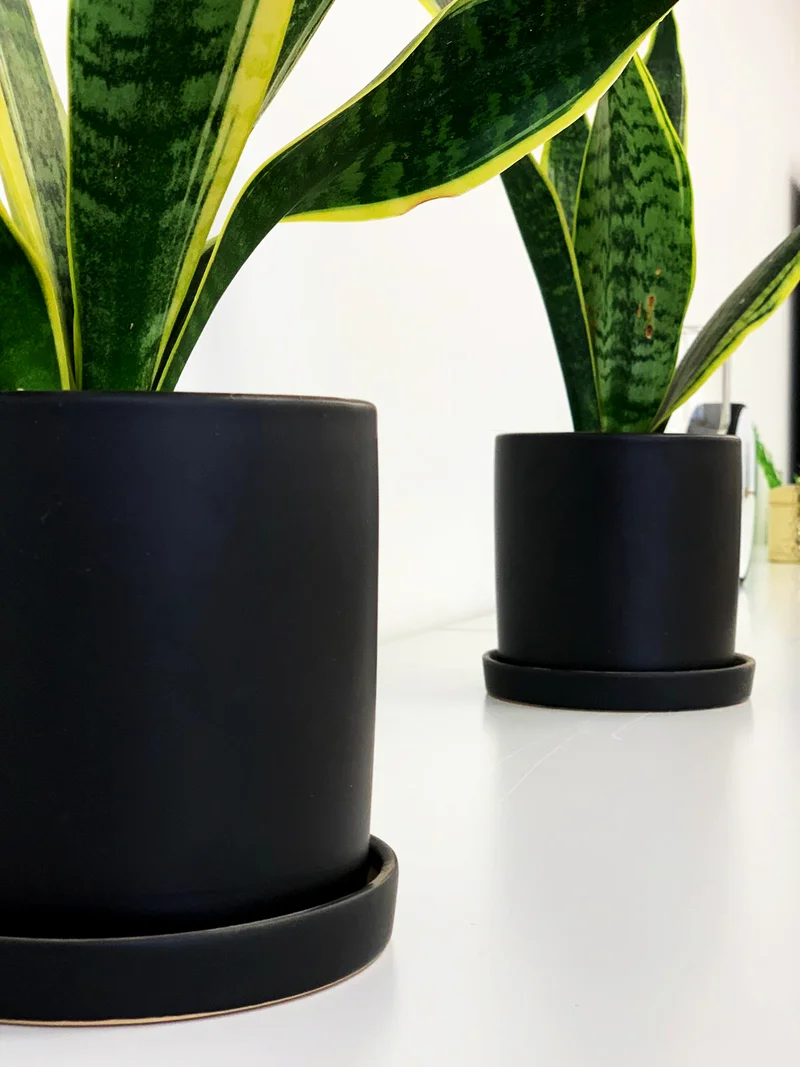 משרד בוטיק לנדל"ן | שוהם