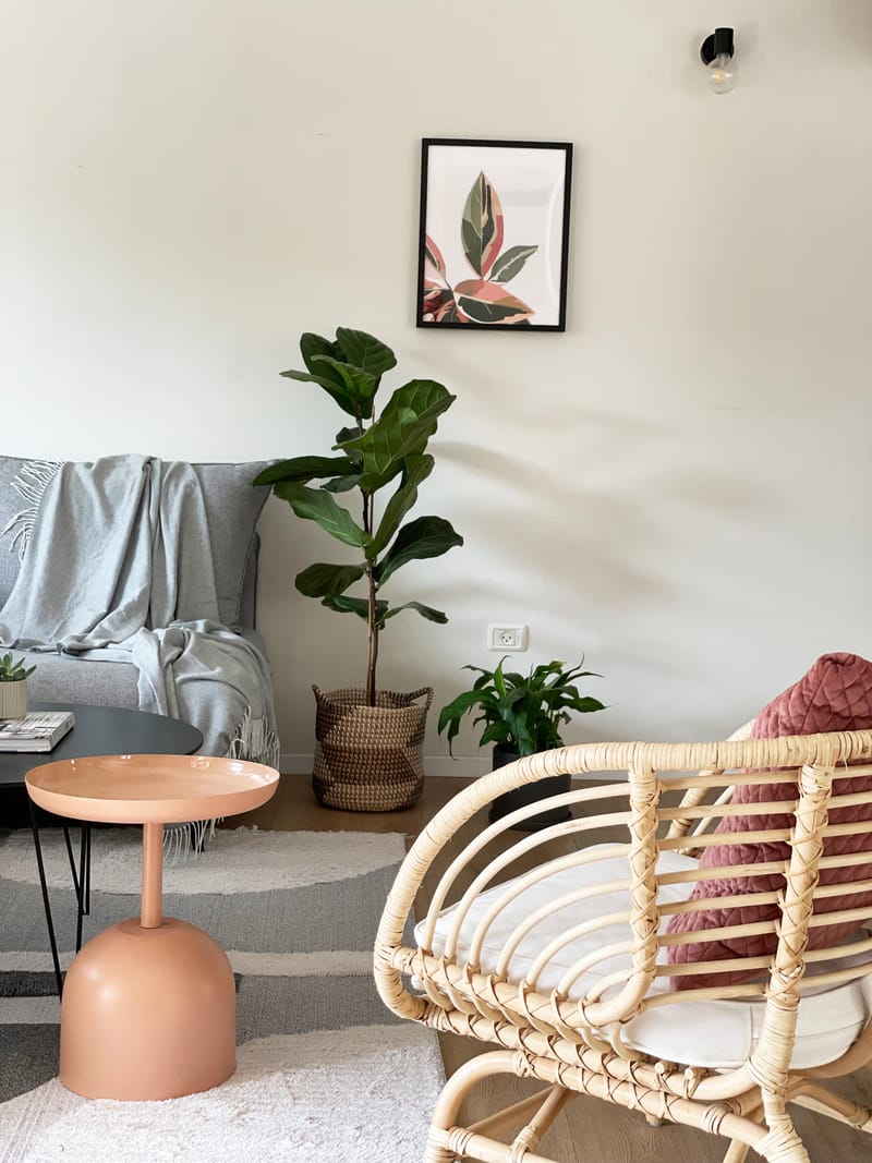 סטיילינג לצילומים למעצבת ענת יהב | כפר סבא