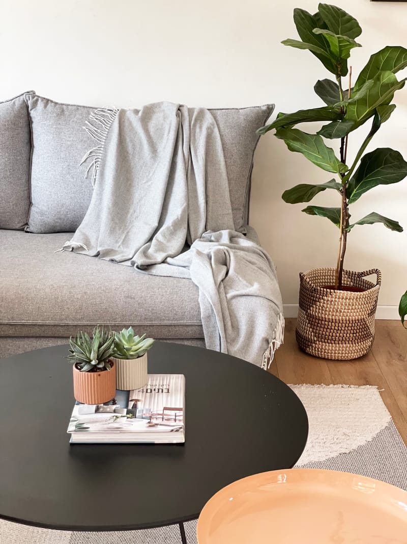 סטיילינג לצילומים למעצבת ענת יהב | כפר סבא