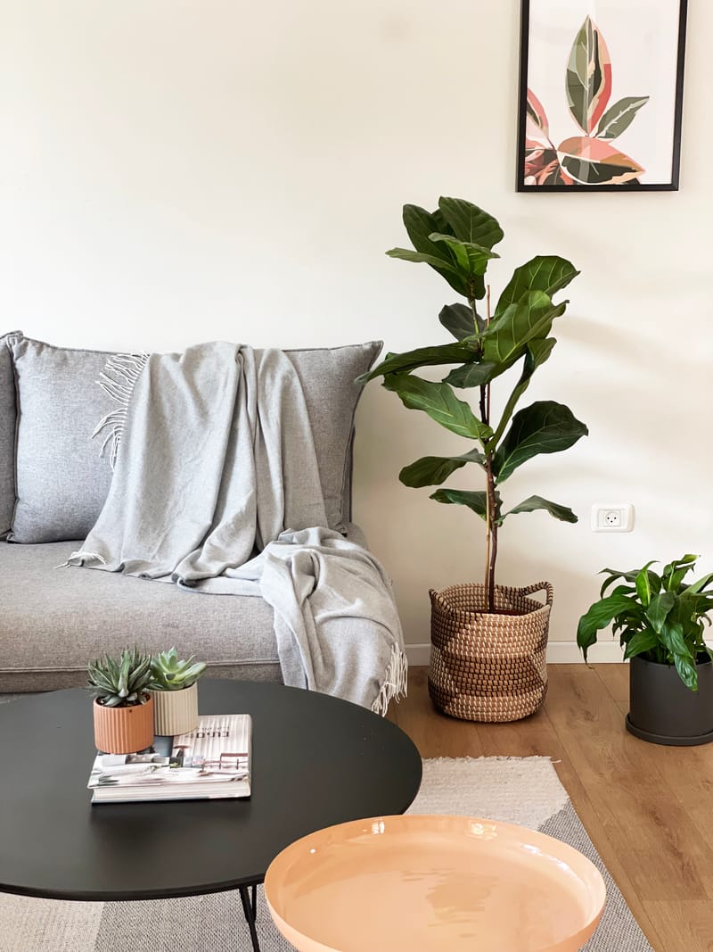 סטיילינג לצילומים למעצבת ענת יהב | כפר סבא