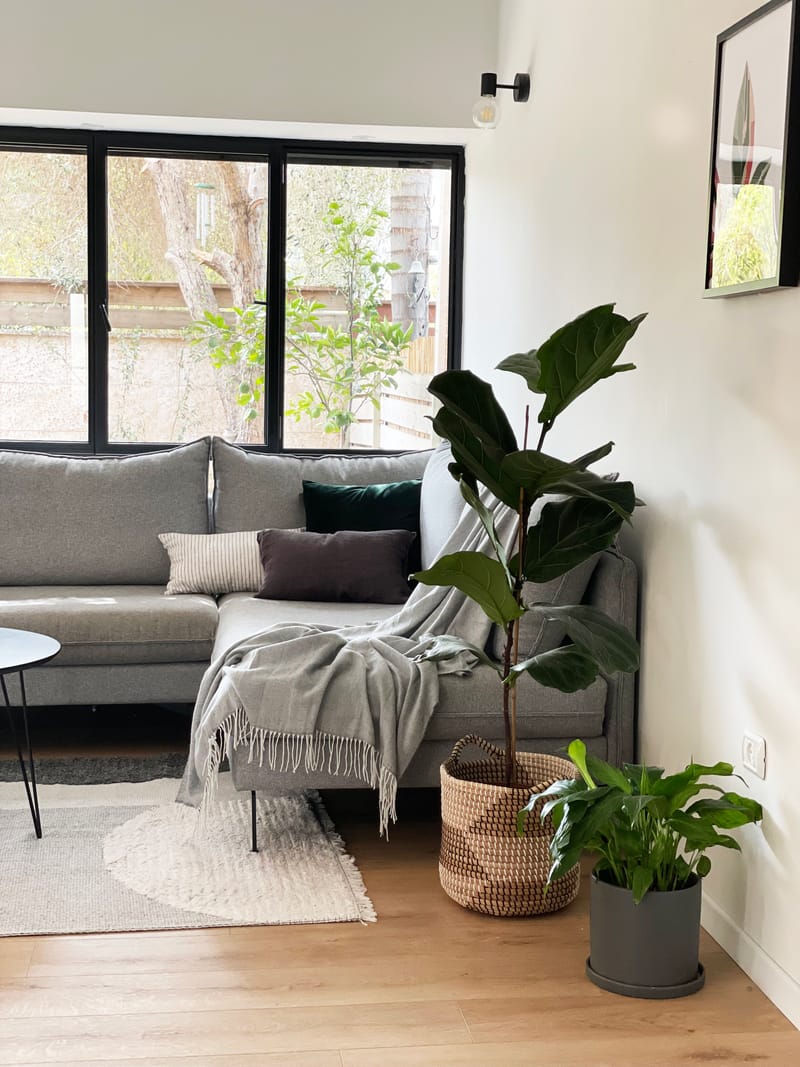 סטיילינג לצילומים למעצבת ענת יהב | כפר סבא