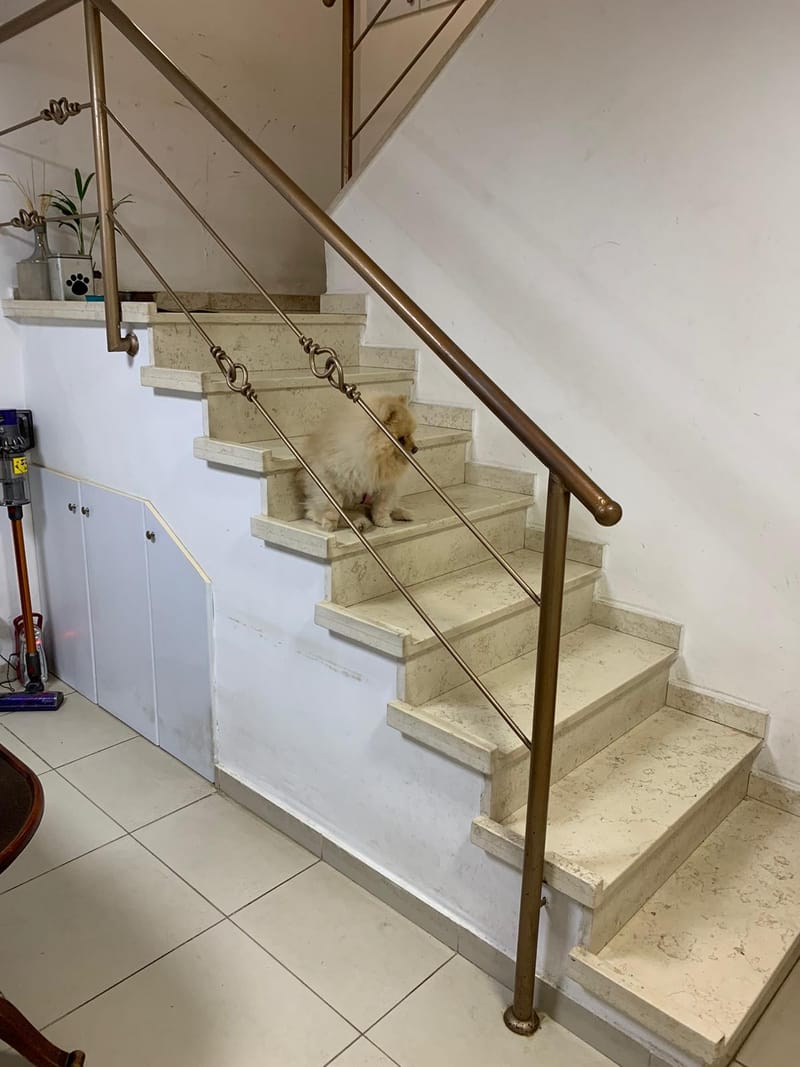 דירת דופלקס | כפר סבא