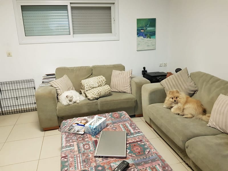 דירת דופלקס | כפר סבא